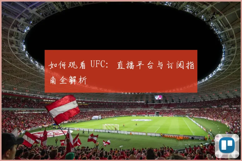 如何观看 UFC：直播平台与订阅指南全解析