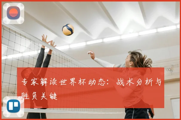 专家解读世界杯动态：战术分析与胜负关键